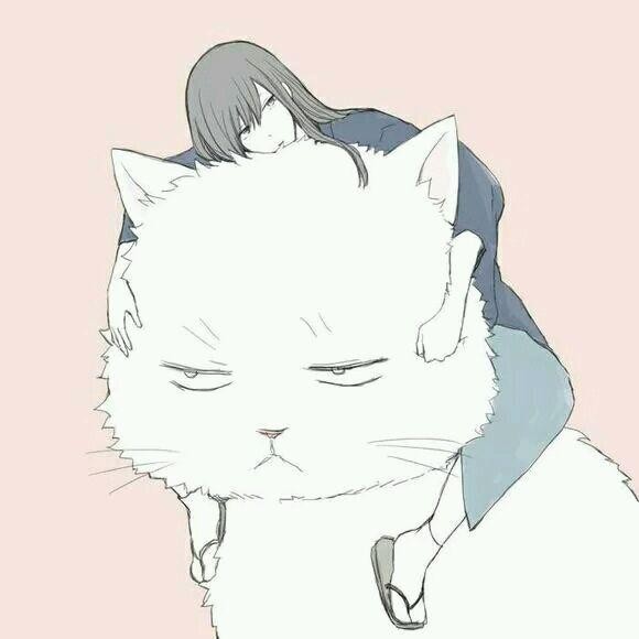 心海的猫